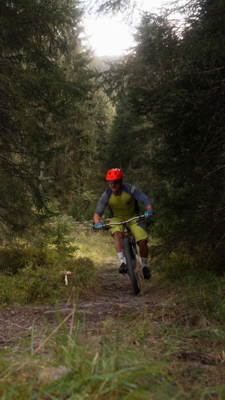 Raus aufs Bike. Rein ins Erlebnis. 🚵‍♂️
Trails, Weitblick und frische Bergluft – und danach zurück ins Hotel Parsenn, wo echte Gastfreundschaft auf Bike-Komfort trifft.

#HotelParsenn #BikeHotel #Davos #DavosKlosters